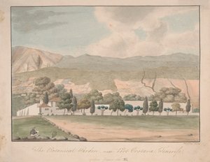 De botanische tuin bij Port Orotava, Tenerife door Alfred Diston