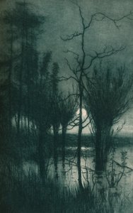 De Stille Maan