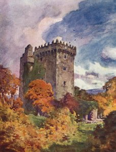 Kasteel Blarney