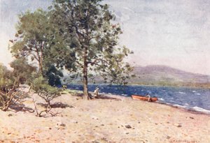 Lake District: Bassenthwaite Lake, een winderige ochtend
