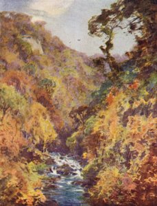 De Dargle, County Wicklow