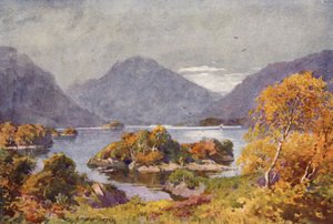 Het Bovenmeer, Killarney