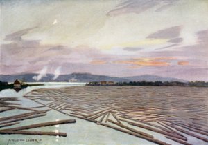 Hout op de rivier Angerman, Harnosand
