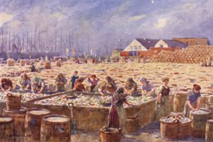 Yarmouth, Norfolk, De haringoogst