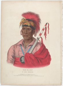 Tah-Ro-Hon, een Ioway Krijger door Alfred Hoffy, after Charles Bird King