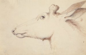 Elk, ca. 1837 door Alfred Jacob Miller