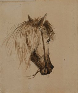 Paardenkop door Alfred Jacob Miller