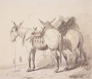 Muilezeluitrusting, ca. 1837