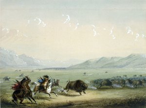 door Alfred Jacob Miller