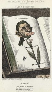 Verdroogde bloem: cartoon over Littré - ill. van 01/02/1871 in 