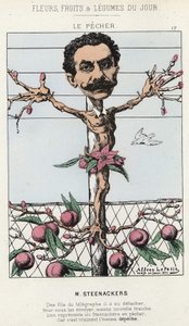 De Perzikboom: Cartoon over Steenackers - ill. van 30/01/1871 in 