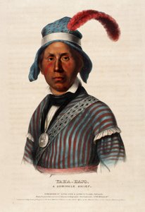Yaha-hajo. Een Seminole opperhoofd. door Alfred M. Hoffy