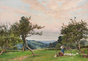 Het eendenhok