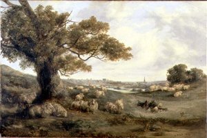 Uitzicht op Norwich