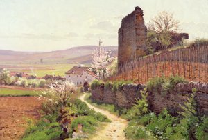Landschap
