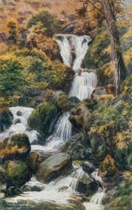 Arthog Watervallen, nabij Barmouth door Alfred Robert Quinton