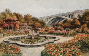 Brug en lelievijver, Peashol M, Scarborough
