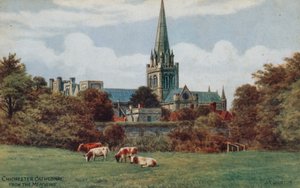 Chichester, Kathedraal, vanuit de Weiden