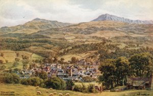 Dolgelley en Cader Idris door Alfred Robert Quinton