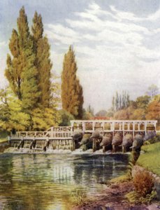 Aalkooien bij Hedsor door Alfred Robert Quinton