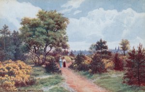 Harlow Moor, Harrogate