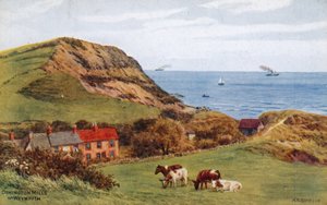 Osmington Mills, bij Weymouth door Alfred Robert Quinton