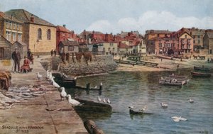 Meeuwen in de haven, St Ives, Cornwall