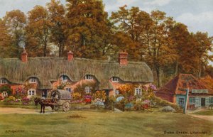 Swan Green, Lyndhurst door Alfred Robert Quinton