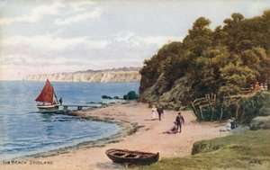 Het strand, Studland door Alfred Robert Quinton