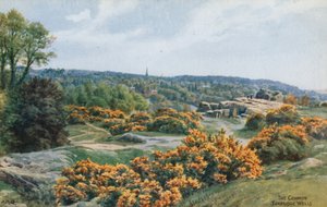 The Common, Tunbridge Wells