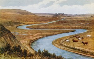 De Cuckmere Vallei, Seaford