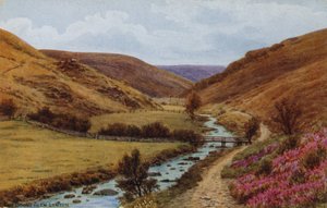 De Doone Glen, Lynton