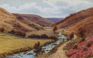 De Doone Glen, Lynton