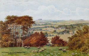 De Downs met Chantonbury Ring, bij Worthing door Alfred Robert Quinton