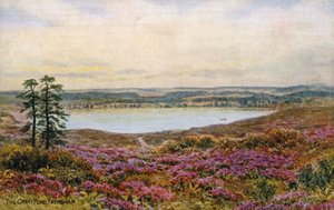 De Grote Vijver, Frensham door Alfred Robert Quinton