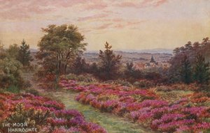 De Moor, Harrogate