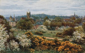 Tunbridge Wells vanaf The Common door Alfred Robert Quinton