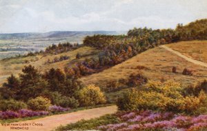 Uitzicht vanaf Gibbet Cross, Hindhead