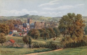 Wells Cathedral, vanaf Milton Hill