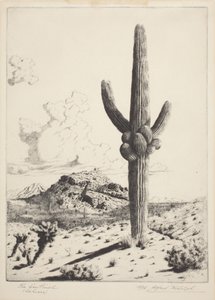De Wacht (Sahuaro)
