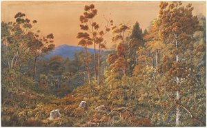 Een gouden avond, Waiheke Island door Alfred Sharpe