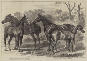 Prijswinnaars op de landbouwtentoonstelling