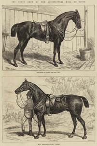 De paardenshow in de Agricultural Hall, Islington door Alfred Sheldon Williams