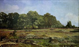Kastanjelaan in La Celle-Saint Cloud
