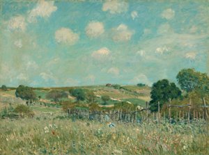 Weide, 1875
