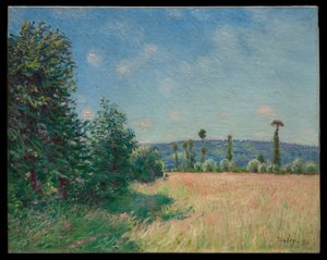 De weiden van Sahurs in de ochtendzon door Alfred Sisley