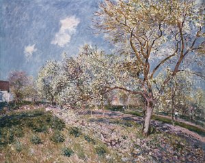 Lente in Veneux