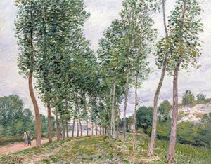 De laan van populieren langs de oevers van de Loing door Alfred Sisley