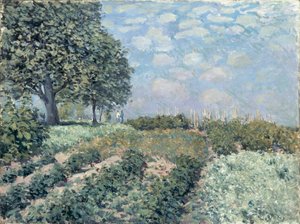 De Moestuinen door Alfred Sisley