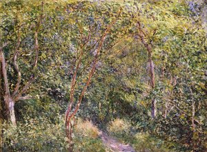 Onbekend Beeld door Alfred Sisley